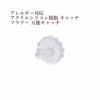 平皿ピアス
