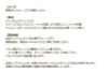喜平チェーン 0.3×1.0mm ゴールド 商品説明