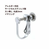 カン無し 3mm イヤリング シルバー サージカルステンレス