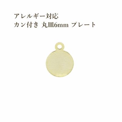 50個］ サージカル ステンレス カン付き 丸皿 プレート 4mm [ 銀