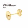 平皿ピアス
