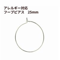 ひっかけタイプ フープピアス 25mm [ 銀 シルバー ] サージカルステンレス アクセサリー パーツ 金具 金アレ