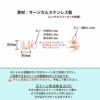 縦向き カン付き 立て爪 台座 5mm ピンクゴールド サイズ詳細
