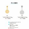 丸皿 プレート付き バチカン  サージカルステンレス パーツ 金属アレルギー対応