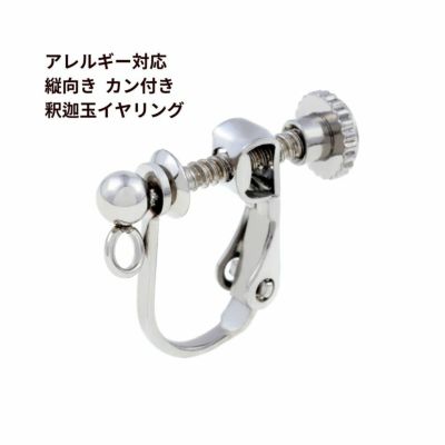 ☆ネッシー売上No1☆5ペア価格☆L&A☆特殊加工済☆イヤリング