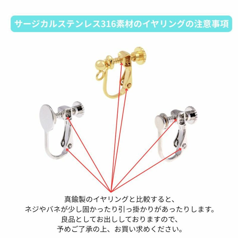 橙ママ様♡専用ページ〔ネジバネイヤリング〕 橙ママ様♡専用ページ