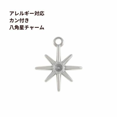 2個] 天然石 チャーム 5mm ［ ピーターサイト ］ ステンレス