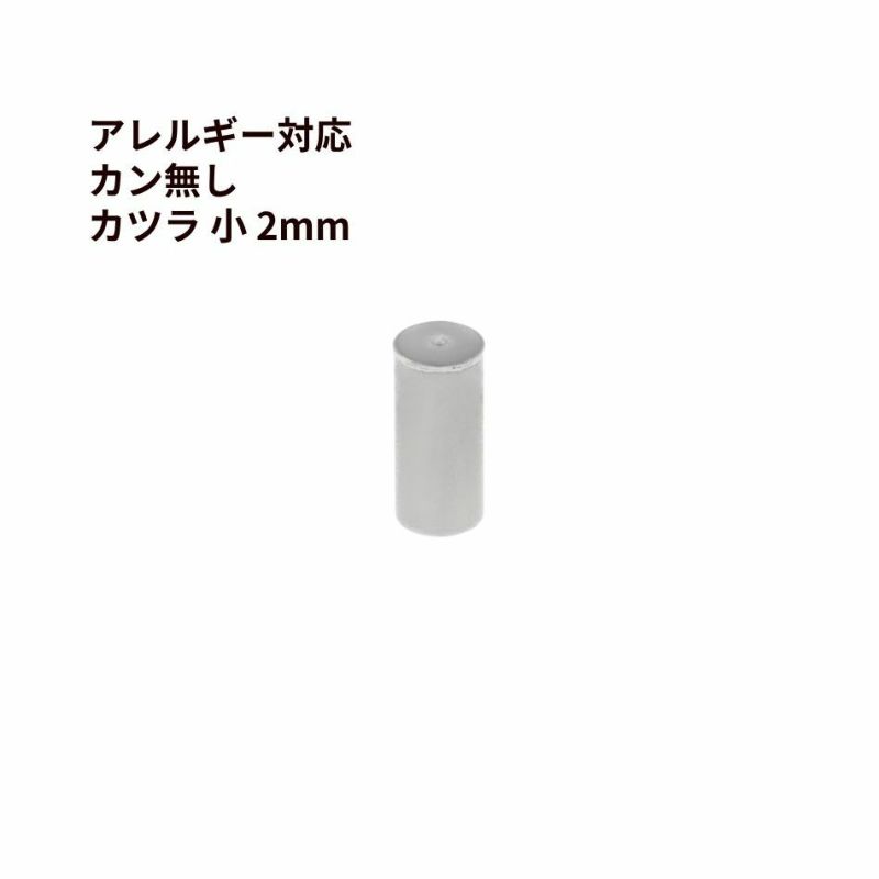 カン無し カツラ 小 2mm シルバー サージカルステンレス パーツ 金属アレルギー対応