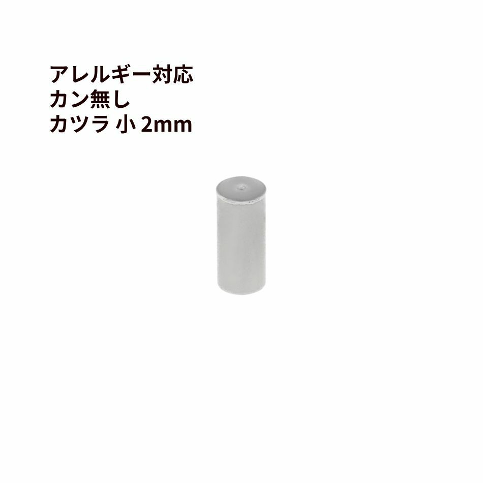 カン無し カツラ 小 2mm シルバー サージカルステンレス パーツ 金属アレルギー対応