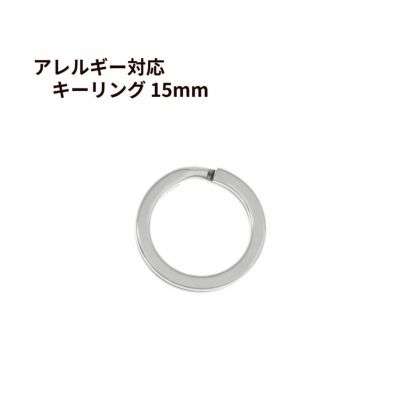 キーリング 15mm [ 銀 シルバー ] ステンレス 選べる個数 キーホルダー 二重リング パーツ 金属アレルギー対応