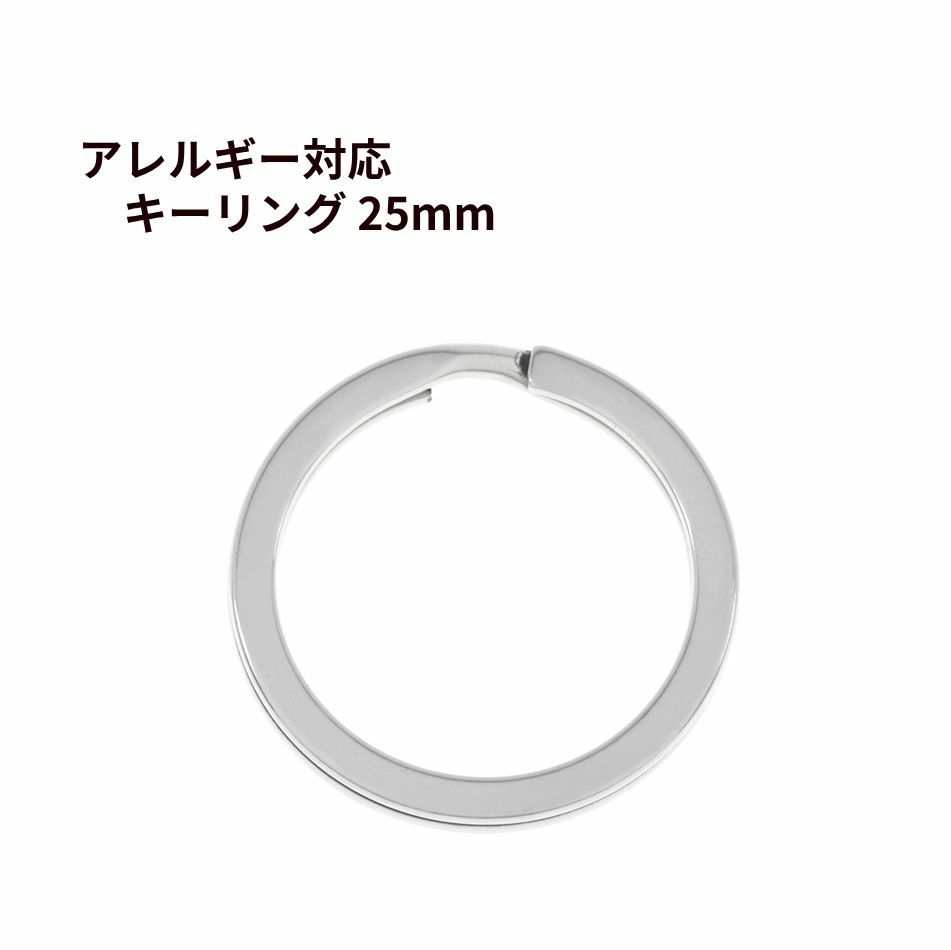 キーリング 25mm [ 銀 シルバー ] ステンレス 選べる個数 キーホルダー 二重リング パーツ 金属アレルギー対応